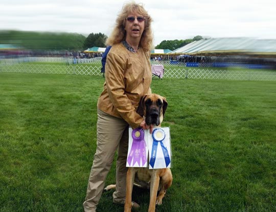 Manchester NH pet supplier awards